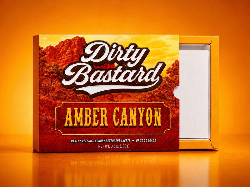 🏜️ Amber Canyon
